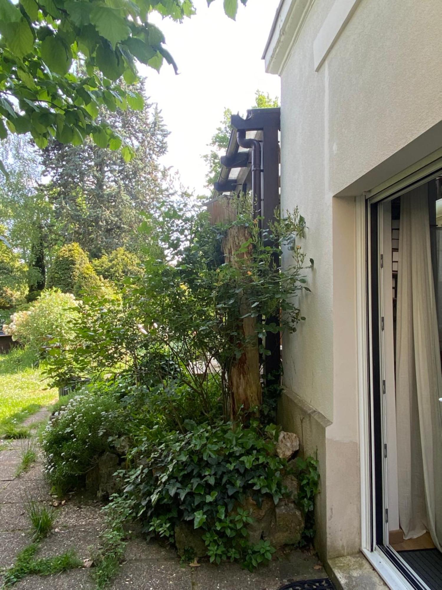 Les Charmettes Chambre D Hotes Villemoisson-Sur-Orge ภายนอก รูปภาพ